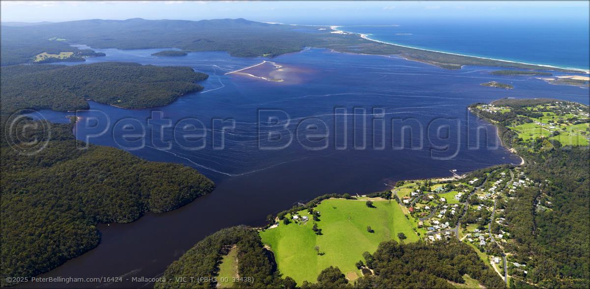 Peter Bellingham Photography Mallacoota - VIC T (PBH3 00 33438)